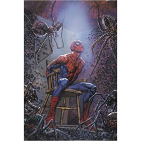 Spider-Man Tangled Web - Omnibus 